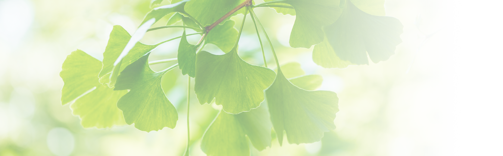 武田科学振興財団について