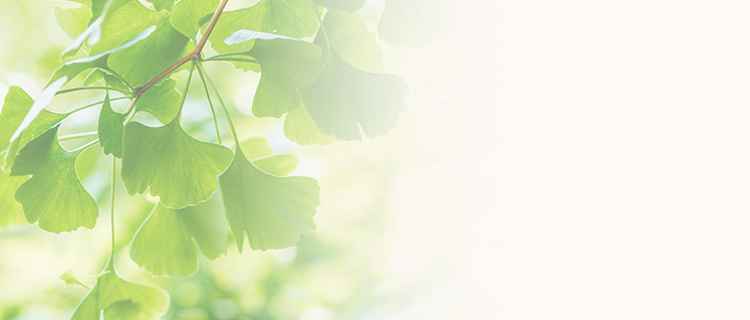 武田科学振興財団について