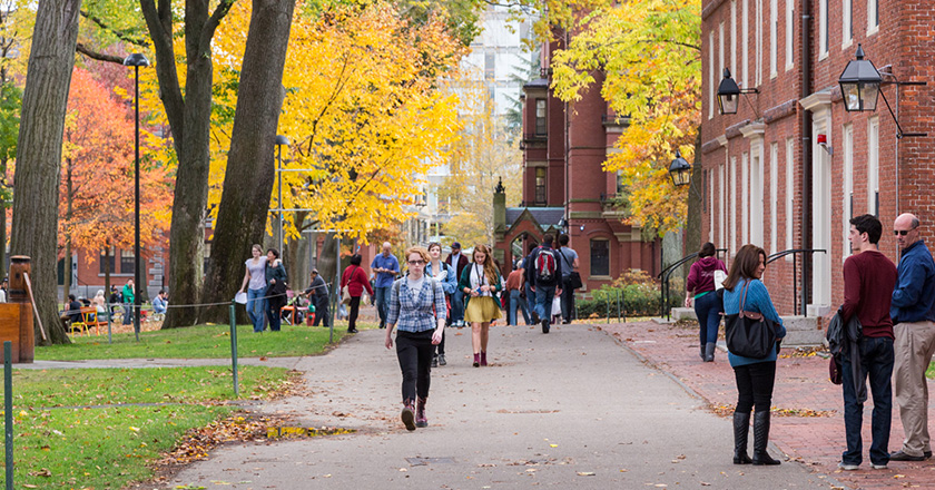 海外研究留学助成