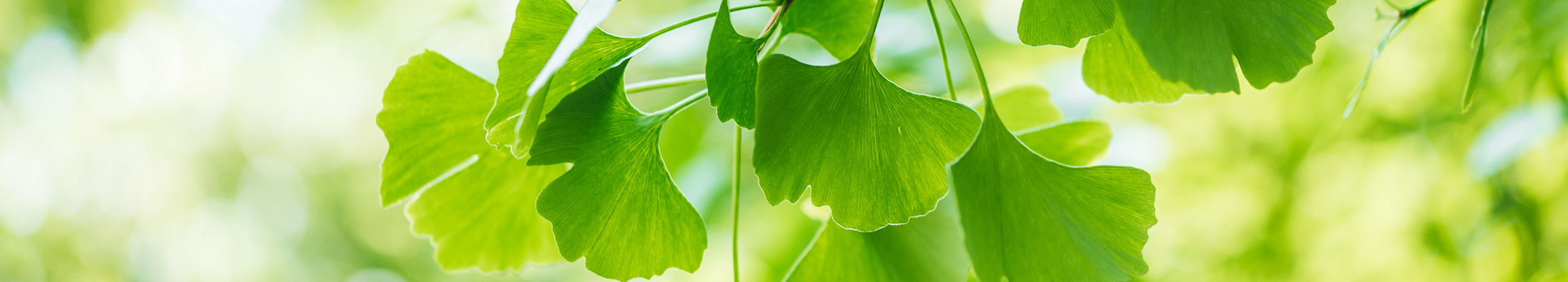 武田科学振興財団について